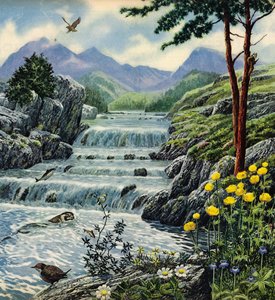 Scottish Highlands